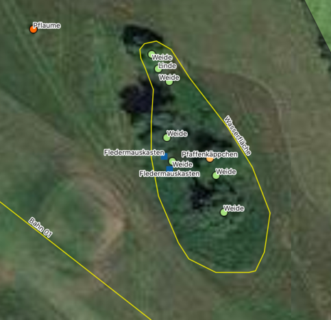 Baeume_auf_dem_Golfplatz_04