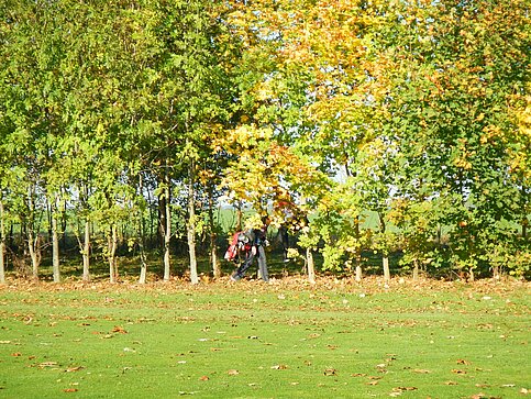 Wald_im_thueringer_golfclub
